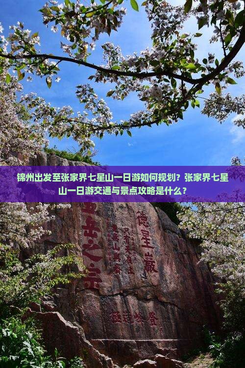 锦州出发至张家界七星山一日游如何规划？张家界七星山一日游交通与景点攻略是什么？