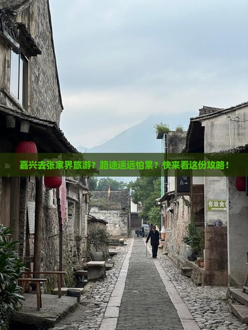 嘉兴去张家界旅游？路途遥远怕累？快来看这份攻略！