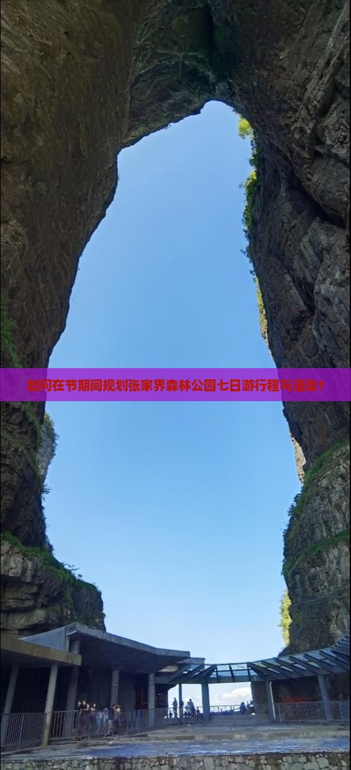 如何在节期间规划张家界森林公园七日游行程与活动？