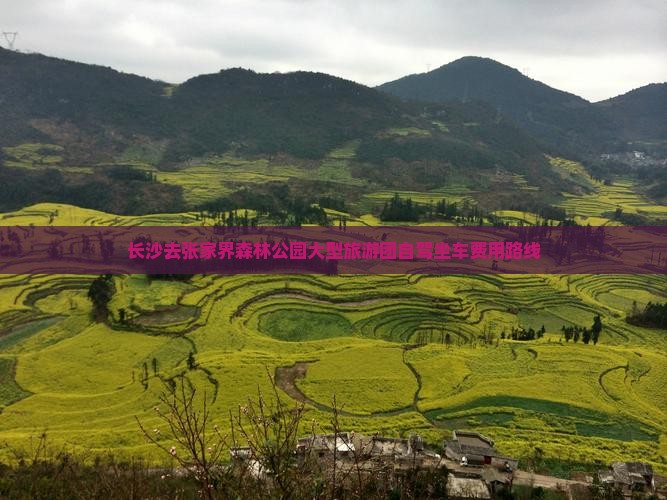 长沙去张家界森林公园大型旅游团自驾坐车费用路线