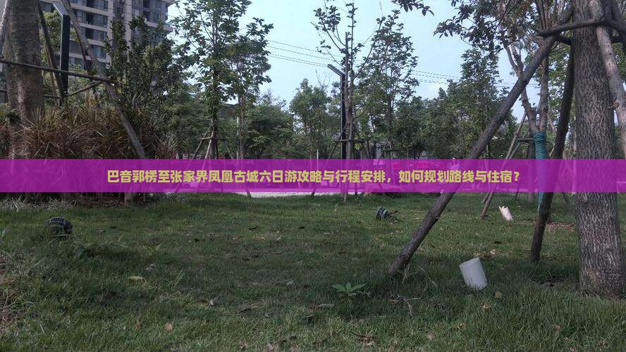 巴音郭楞至张家界凤凰古城六日游攻略与行程安排，如何规划路线与住宿？