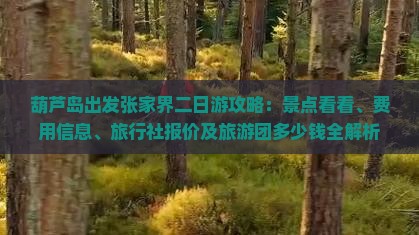 葫芦岛出发张家界二日游攻略：景点看看、费用信息、旅行社报价及旅游团多少钱全解析