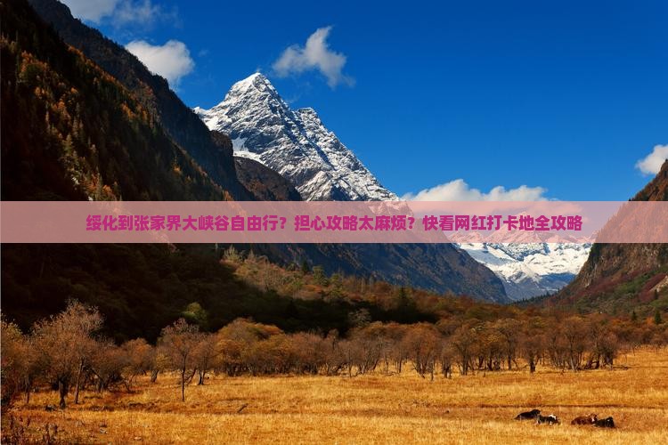 绥化到张家界大峡谷自由行？担心攻略太麻烦？快看网红打卡地全攻略