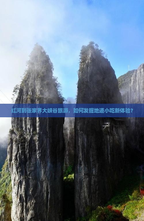 红河到张家界大峡谷旅游，如何发掘地道小吃新体验？