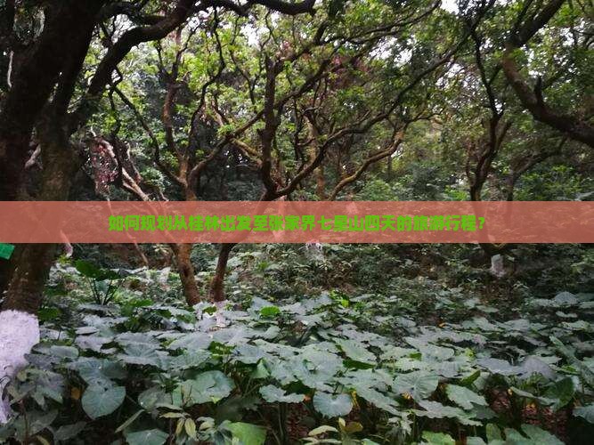 如何规划从桂林出发至张家界七星山四天的旅游行程？