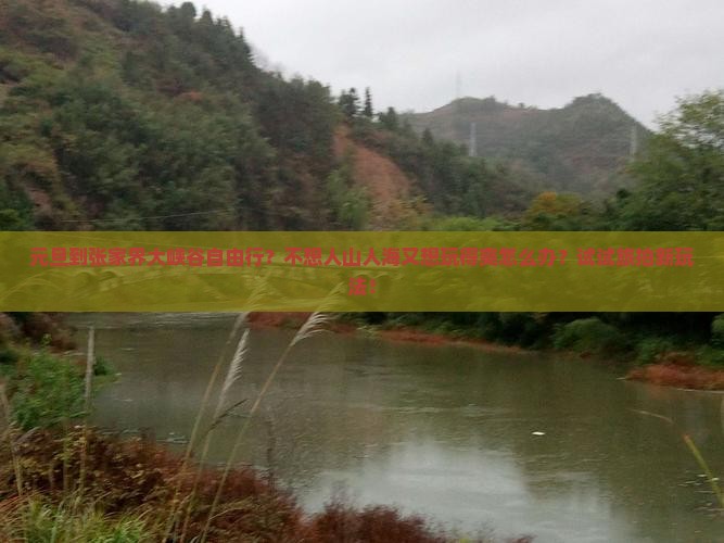 元旦到张家界大峡谷自由行？不想人山人海又想玩得爽怎么办？试试旅拍新玩法！