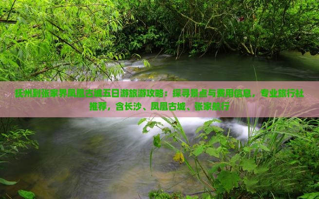 抚州到张家界凤凰古城五日游旅游攻略：探寻景点与费用信息，专业旅行社推荐，含长沙、凤凰古城、张家航行