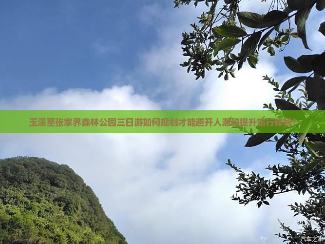 玉溪至张家界森林公园三日游如何规划才能避开人潮和提升旅行体验？