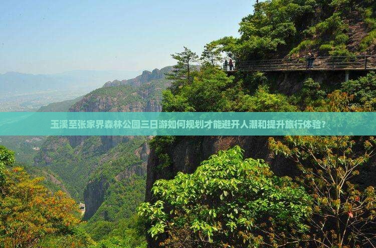 玉溪至张家界森林公园三日游如何规划才能避开人潮和提升旅行体验？