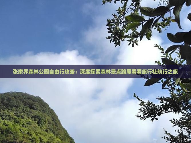 张家界森林公园自由行攻略：深度探索森林景点路犀看看旅行社航行之旅