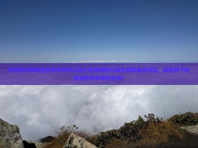 如何组织聊城至张家界森林公园大型旅游团以解决游客痛点问题，新趋势下的旅游热词有哪些应用？