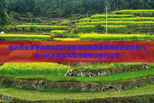 临沂到张家界芙蓉镇四日游旅游攻略看看费用景点信息航行旅行社含凤凰凤凰古城长沙旅行公司
