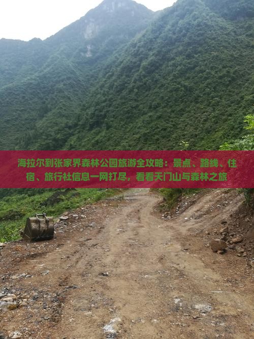 海拉尔到张家界森林公园旅游全攻略：景点、路线、住宿、旅行社信息一网打尽，看看天门山与森林之旅