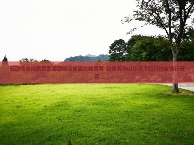 劳动节去张家界武陵源景点旅游攻略看看-张家界市山水天下旅行社自由行推荐