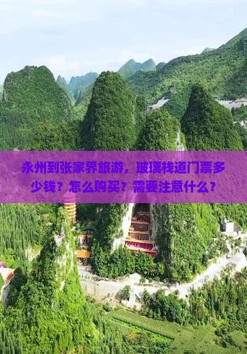 永州到张家界旅游，玻璃栈道门票多少钱？怎么购买？需要注意什么？