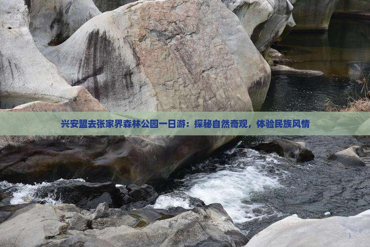 兴安盟去张家界森林公园一日游:探秘自然奇观,体验民族风情 兴安盟去张家界森林公园一日游:探秘自然奇观,体验民族风情