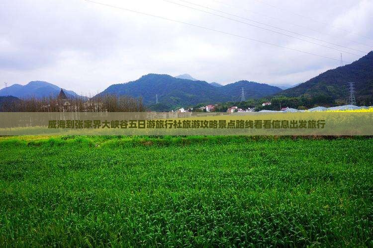 威海到张家界大峡谷五日游旅行社旅游攻略景点路线看看信息出发旅行