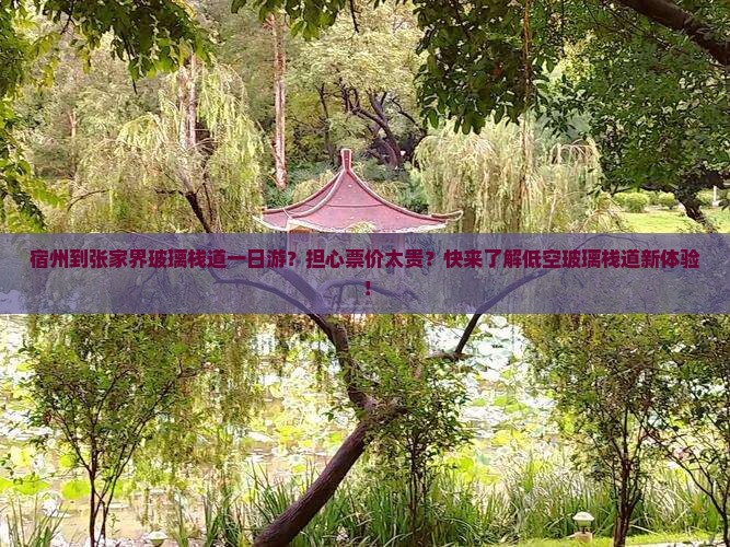 宿州到张家界玻璃栈道一日游？担心票价太贵？快来了解低空玻璃栈道新体验！