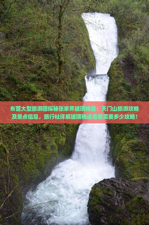 东营大型旅游团探秘张家界玻璃栈道：天门山旅游攻略及景点信息，旅行社详解玻璃栈道看看需要多少攻略！