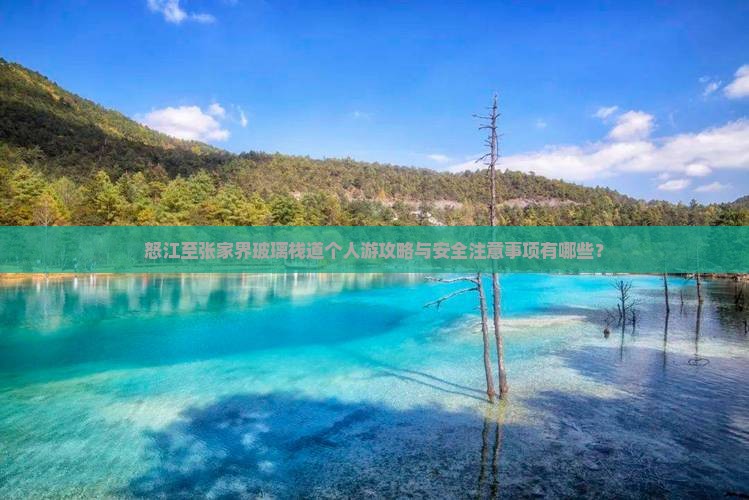 怒江至张家界玻璃栈道个人游攻略与安全注意事项有哪些？