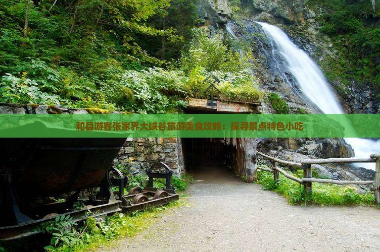 和县游客张家界大峡谷旅游美食攻略：探寻景点特色小吃