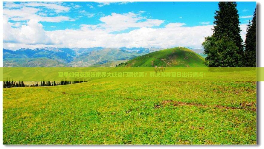 夏季如何获取张家界大峡谷门票优惠？解决游客夏日出行痛点！