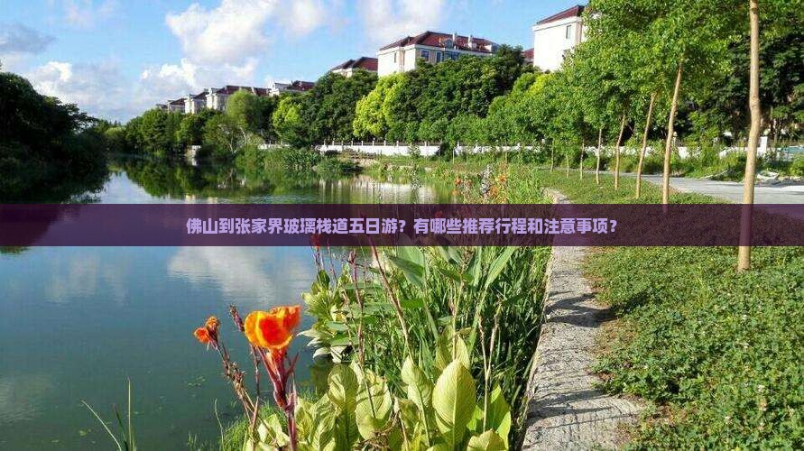 佛山到张家界玻璃栈道五日游？有哪些推荐行程和注意事项？