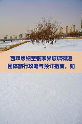 西双版纳至张家界玻璃栈道团体旅行攻略与预订指南，如何安排行程及优惠信息？