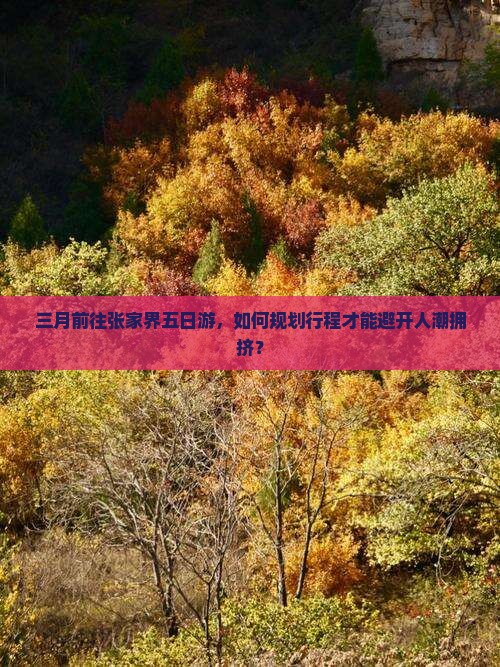 三月前往张家界五日游，如何规划行程才能避开人潮拥挤？