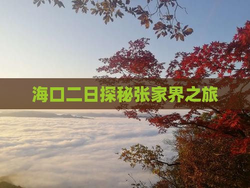 海口二日探秘张家界之旅