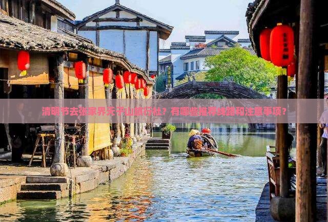 清明节去张家界天子山旅行社？有哪些推荐线路和注意事项？