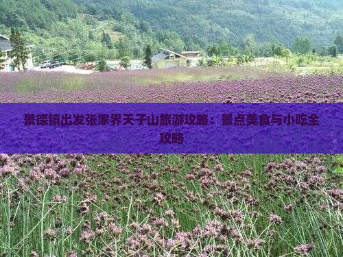 景德镇出发张家界天子山旅游攻略：景点美食与小吃全攻略