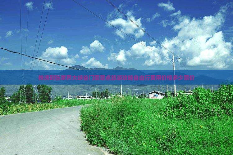 株洲到张家界大峡谷门票景点旅游攻略自由行费用价格多少票价