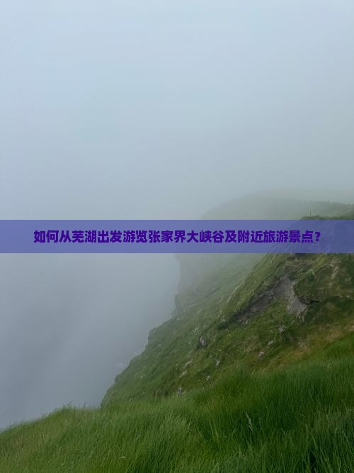 如何从芜湖出发游览张家界大峡谷及附近旅游景点？