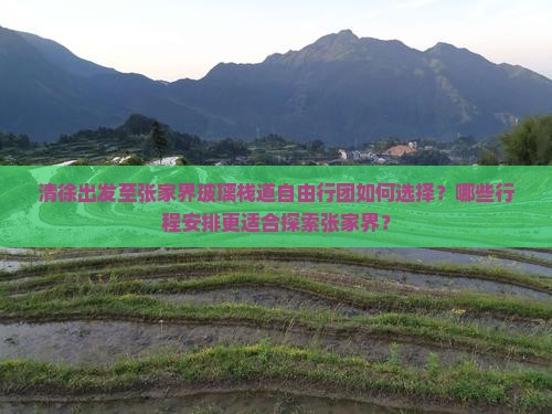 清徐出发至张家界玻璃栈道自由行团如何选择？哪些行程安排更适合探索张家界？