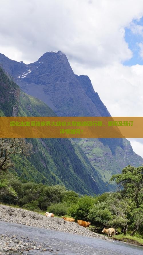 绥化出发至张家界大峡谷大型旅游团行程、费用及预订详情如何？