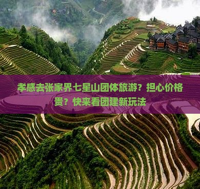孝感去张家界七星山团体旅游？担心价格贵？快来看团建新玩法