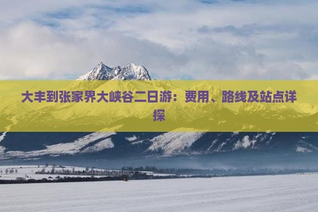 大丰到张家界大峡谷二日游：费用、路线及站点详探