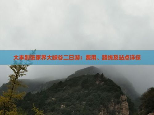大丰到张家界大峡谷二日游：费用、路线及站点详探