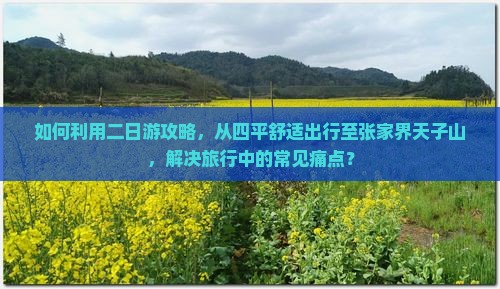 如何利用二日游攻略，从四平舒适出行至张家界天子山，解决旅行中的常见痛点？