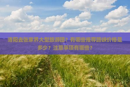 洛阳去张家界大型旅游团？有哪些推荐路峡价格是多少？注意事项有哪些？