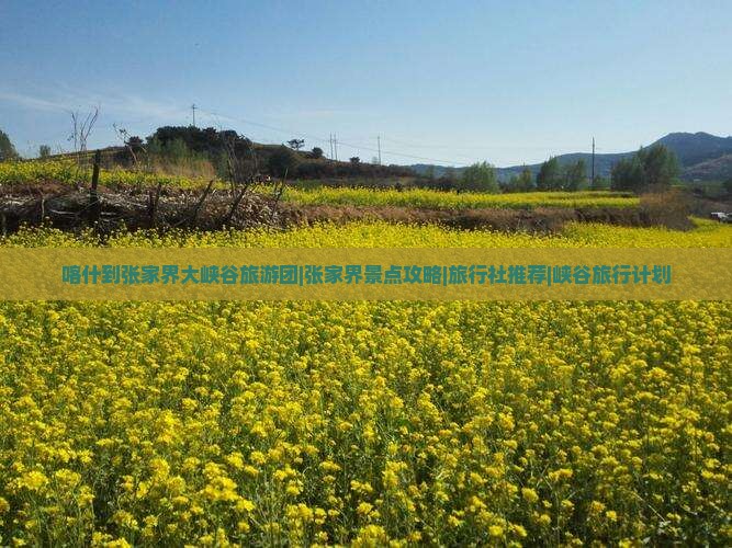喀什到张家界大峡谷旅游团|张家界景点攻略|旅行社推荐|峡谷旅行计划
