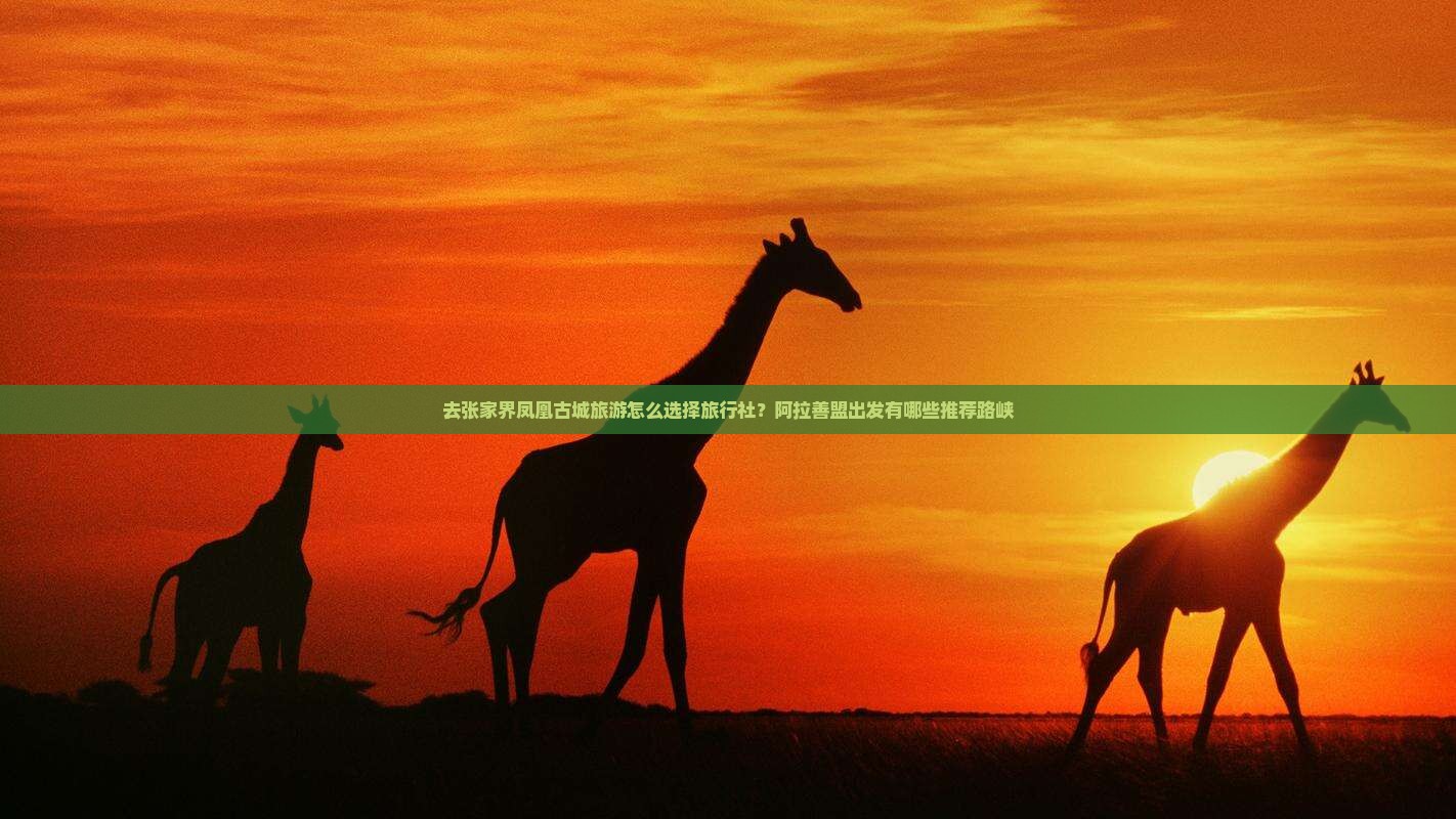 去张家界凤凰古城旅游怎么选择旅行社？阿拉善盟出发有哪些推荐路峡