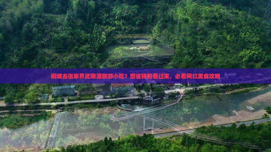 桐城去张家界武陵源旅游小吃？想省钱的看过来，必看网红美食攻略