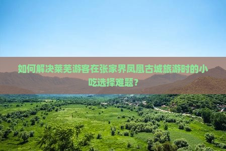 如何解决莱芜游客在张家界凤凰古城旅游时的小吃选择难题？
