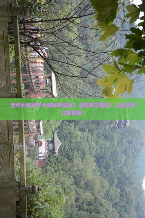 垦利到张家界大峡谷哪里玩？沿途风景枯燥？试试这网红玻璃桥！