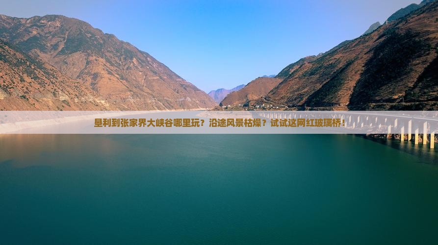 垦利到张家界大峡谷哪里玩？沿途风景枯燥？试试这网红玻璃桥！