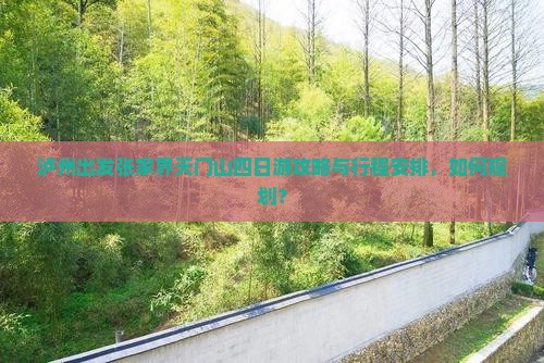 泸州出发张家界天门山四日游攻略与行程安排，如何规划？