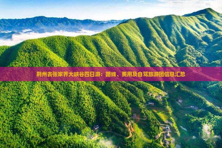 荆州去张家界大峡谷四日游：路线、费用及自驾旅游团信息汇总