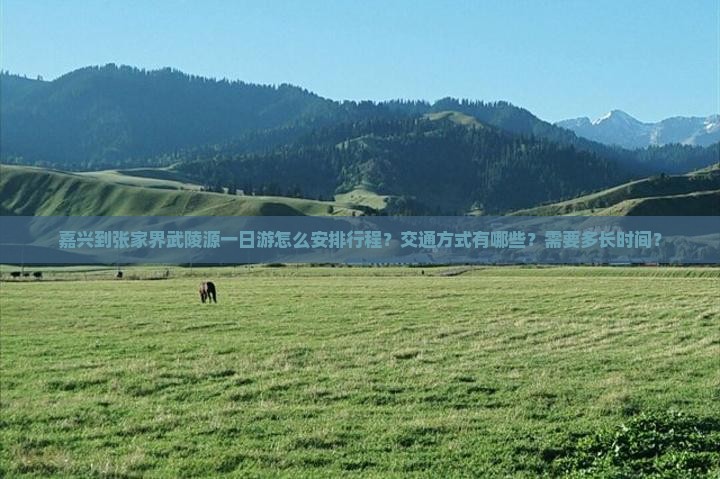 嘉兴到张家界武陵源一日游怎么安排行程？交通方式有哪些？需要多长时间？